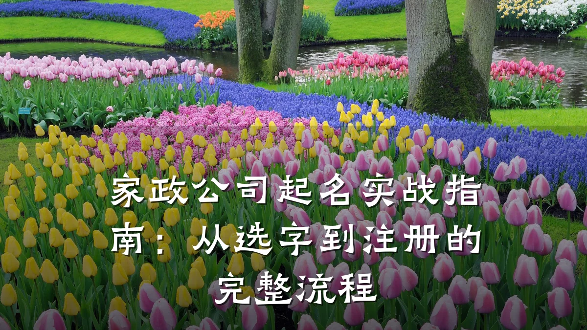 家政公司起名实战指南:从选字到注册的完整流程