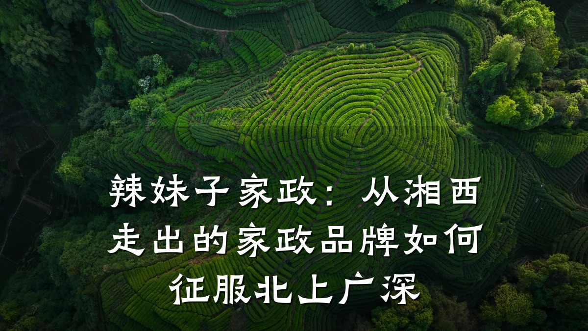 辣妹子家政:从湘西走出的家政品牌如何征服北上广深
