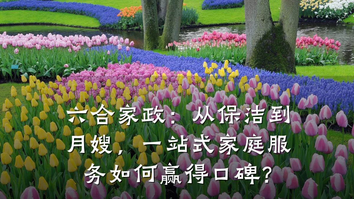 六合家政:从保洁到月嫂,一站式家庭服务如何赢得口碑?
