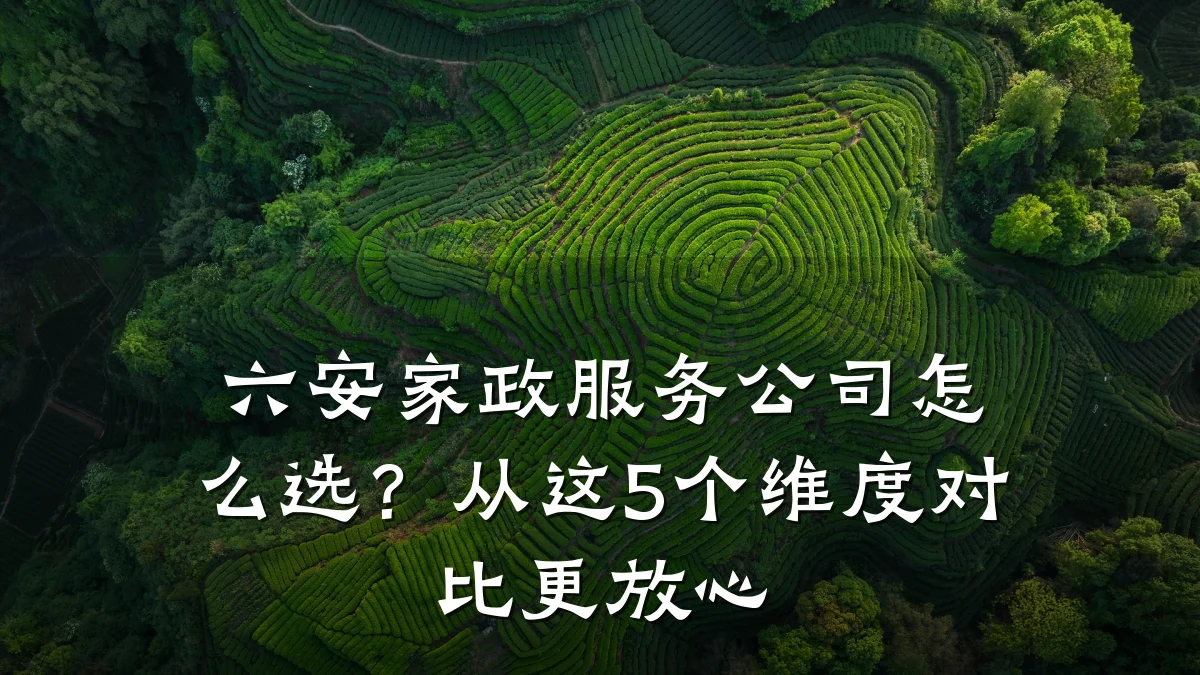 六安家政服务公司怎么选?从这5个维度对比更放心