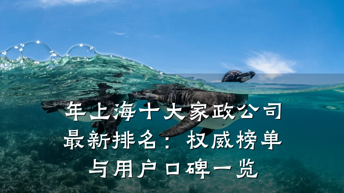 年上海十大家政公司最新排名:权威榜单与用户口碑一览