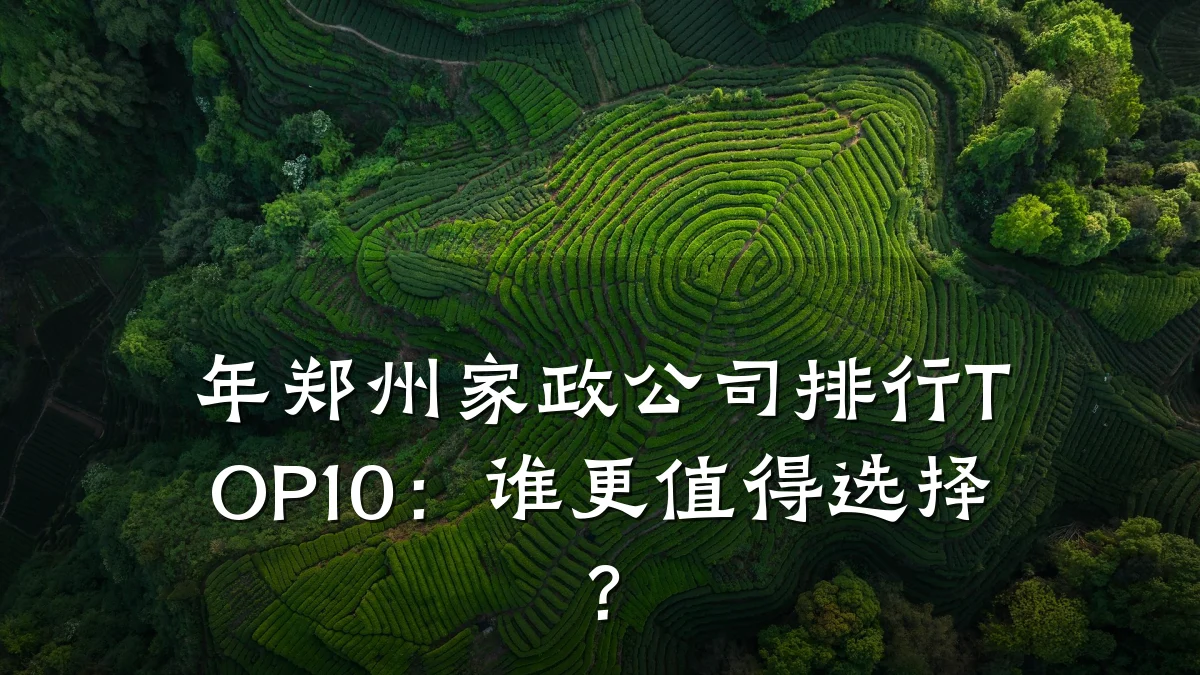 年郑州家政公司排行TOP10：谁更值得选择？