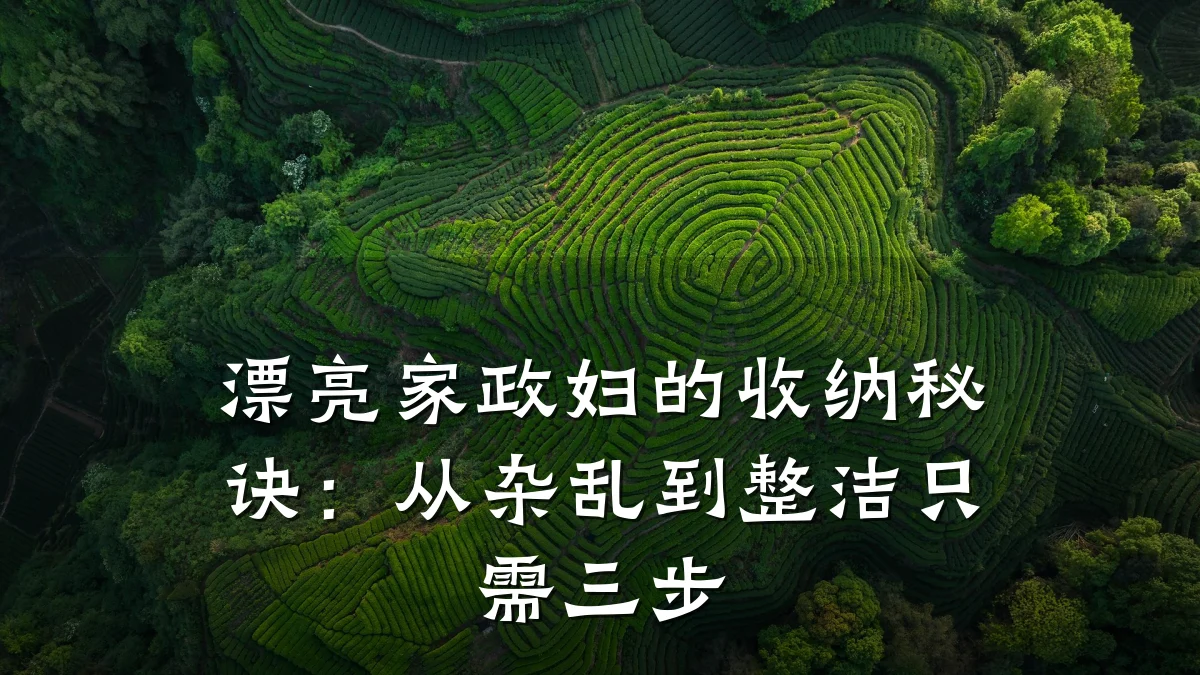 漂亮家政妇的收纳秘诀:从杂乱到整洁只需三步