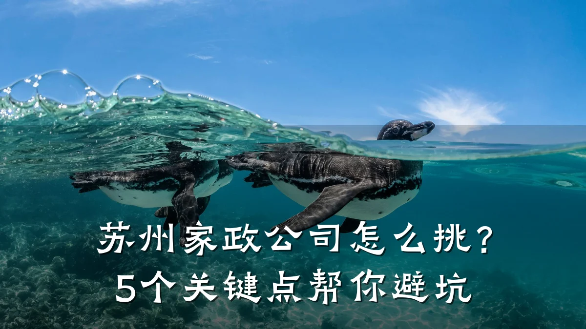 苏州家政公司怎么挑?5个关键点帮你避坑