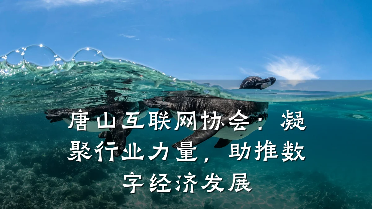 唐山互联网协会:凝聚行业力量,助推数字经济发展