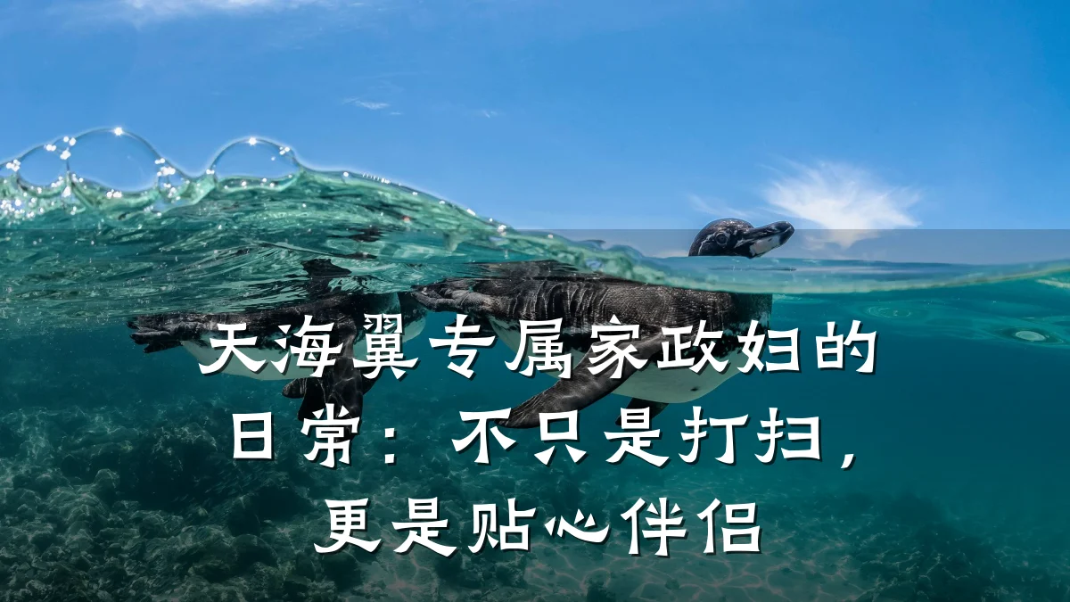 天海翼专属家政妇的日常:不只是打扫,更是贴心伴侣