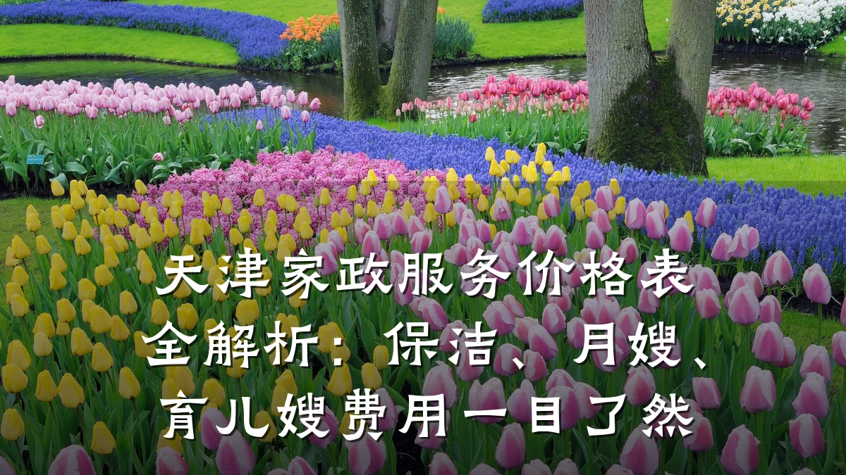 天津家政服务价格表全解析：保洁、月嫂、育儿嫂费用一目了然