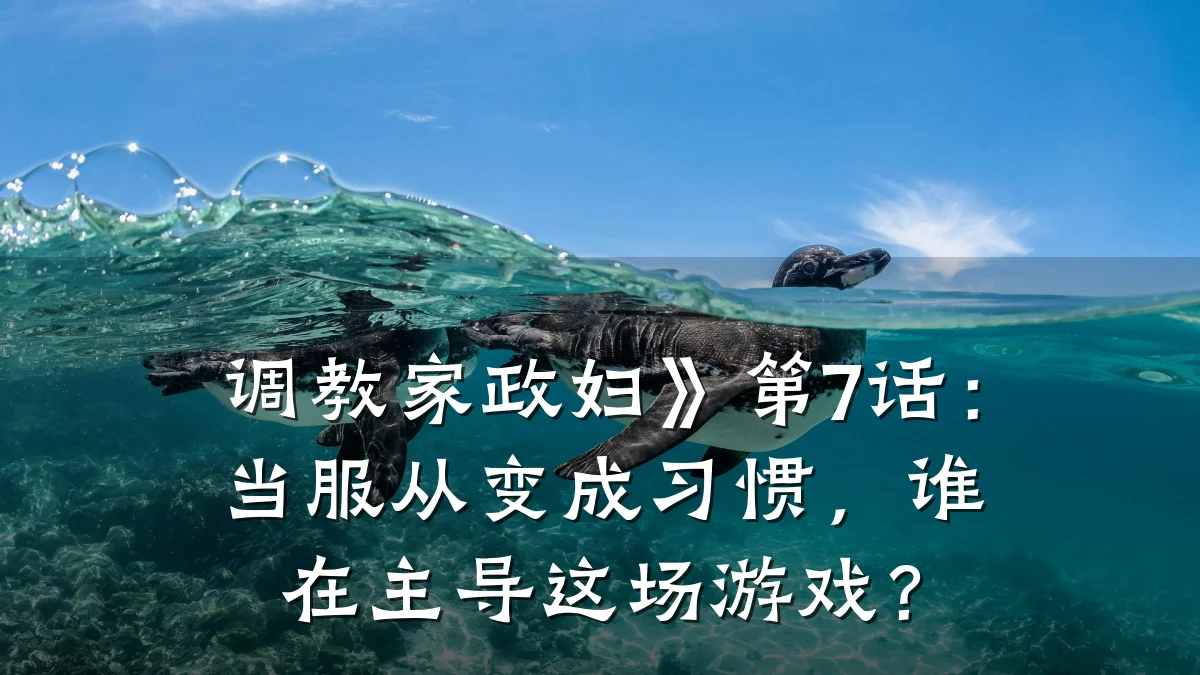 调教家政妇》第7话：当服从变成习惯，谁在主导这场游戏？