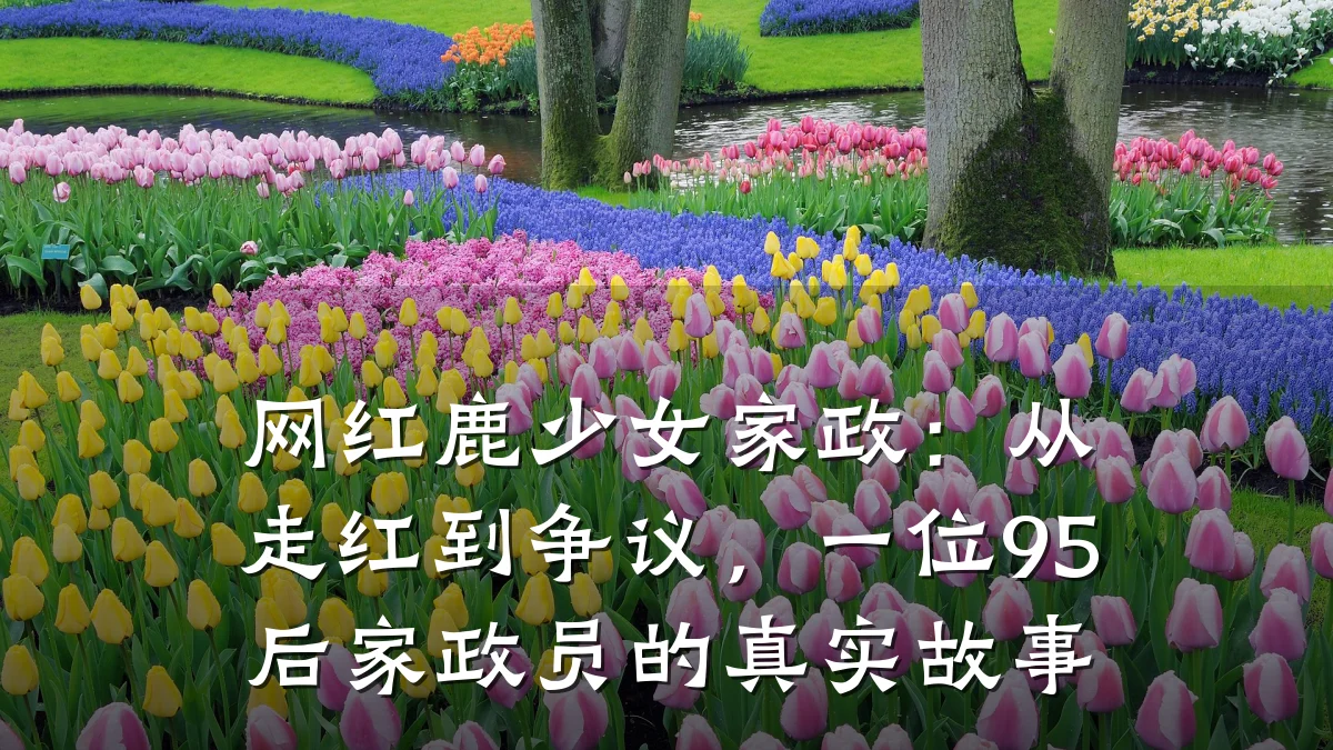 网红鹿少女家政:从走红到争议,一位95后家政员的真实故事