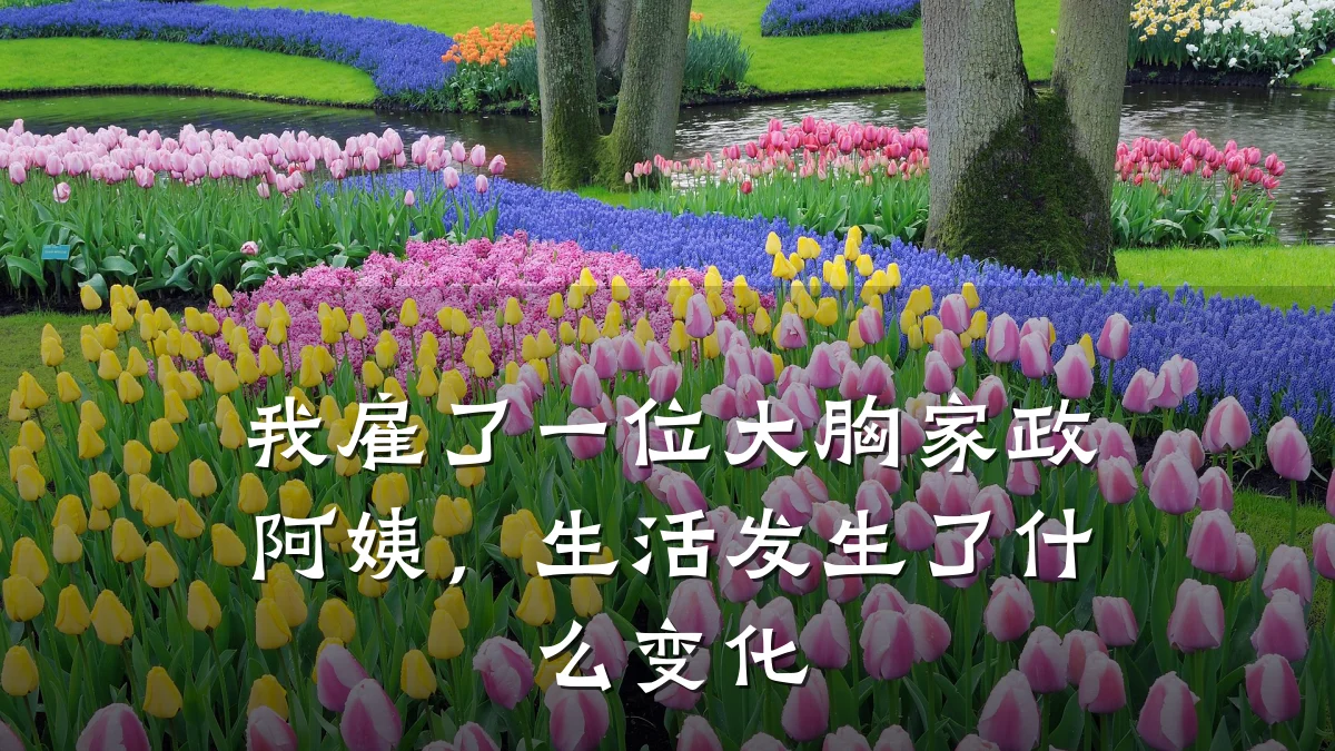 我雇了一位大胸家政阿姨,生活发生了什么变化