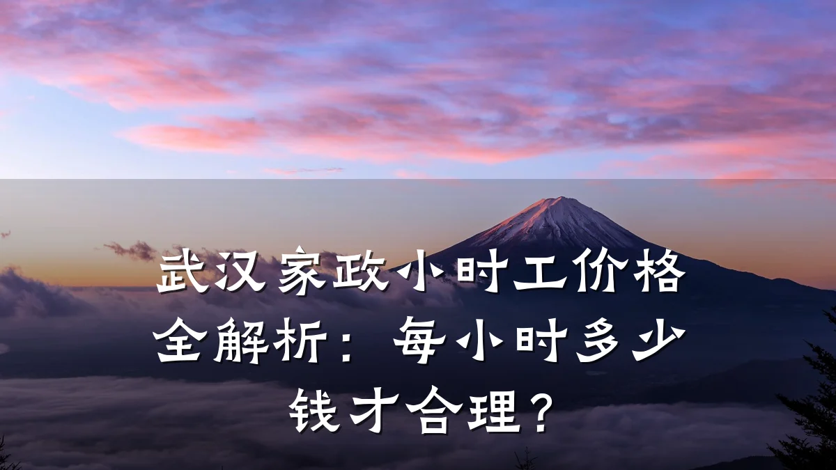 武汉家政小时工价格全解析:每小时多少钱才合理?