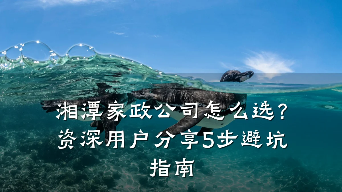 湘潭家政公司怎么选?资深用户分享5步避坑指南