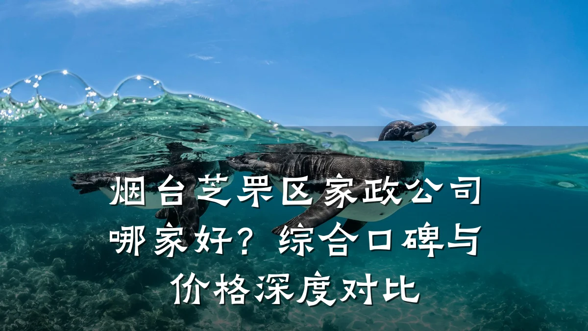 烟台芝罘区家政公司哪家好?综合口碑与价格深度对比
