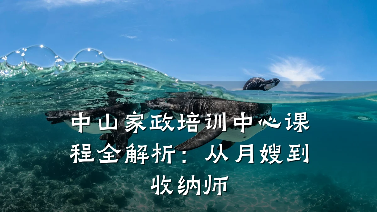 中山家政培训中心课程全解析：从月嫂到收纳师