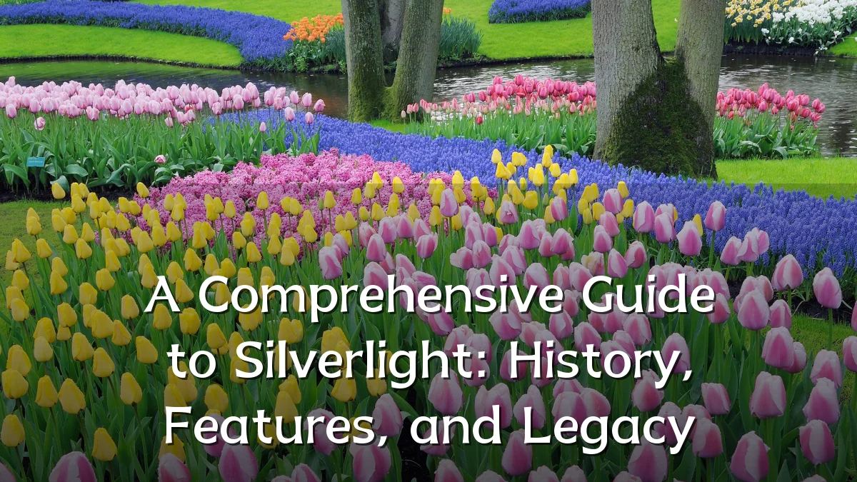 A Comprehensive Guide to Silverlight: History, Features, and Legacy