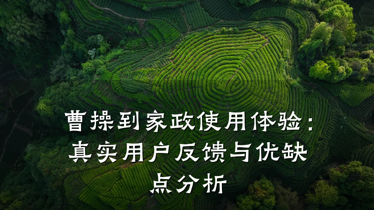 曹操到家政使用体验：真实用户反馈与优缺点分析