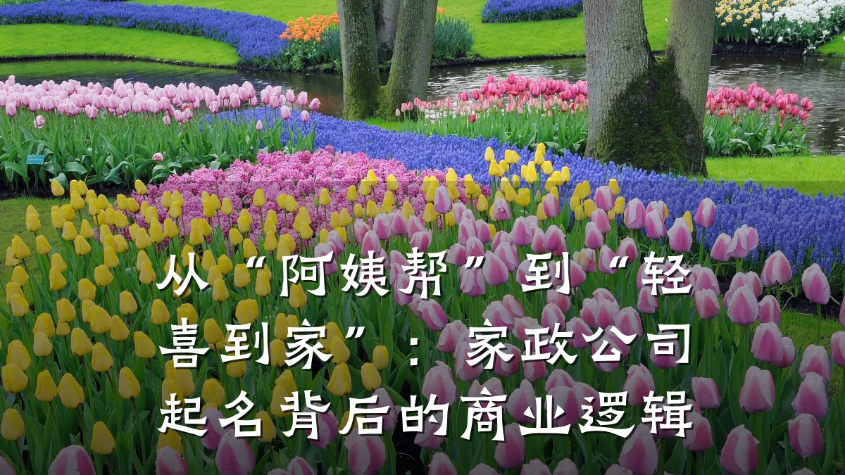 从“阿姨帮”到“轻喜到家”:家政公司起名背后的商业逻辑