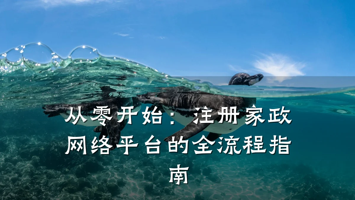 从零开始:注册家政网络平台的全流程指南