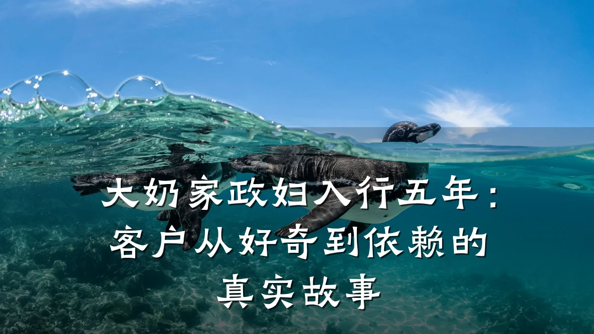 大奶家政妇入行五年：客户从好奇到依赖的真实故事