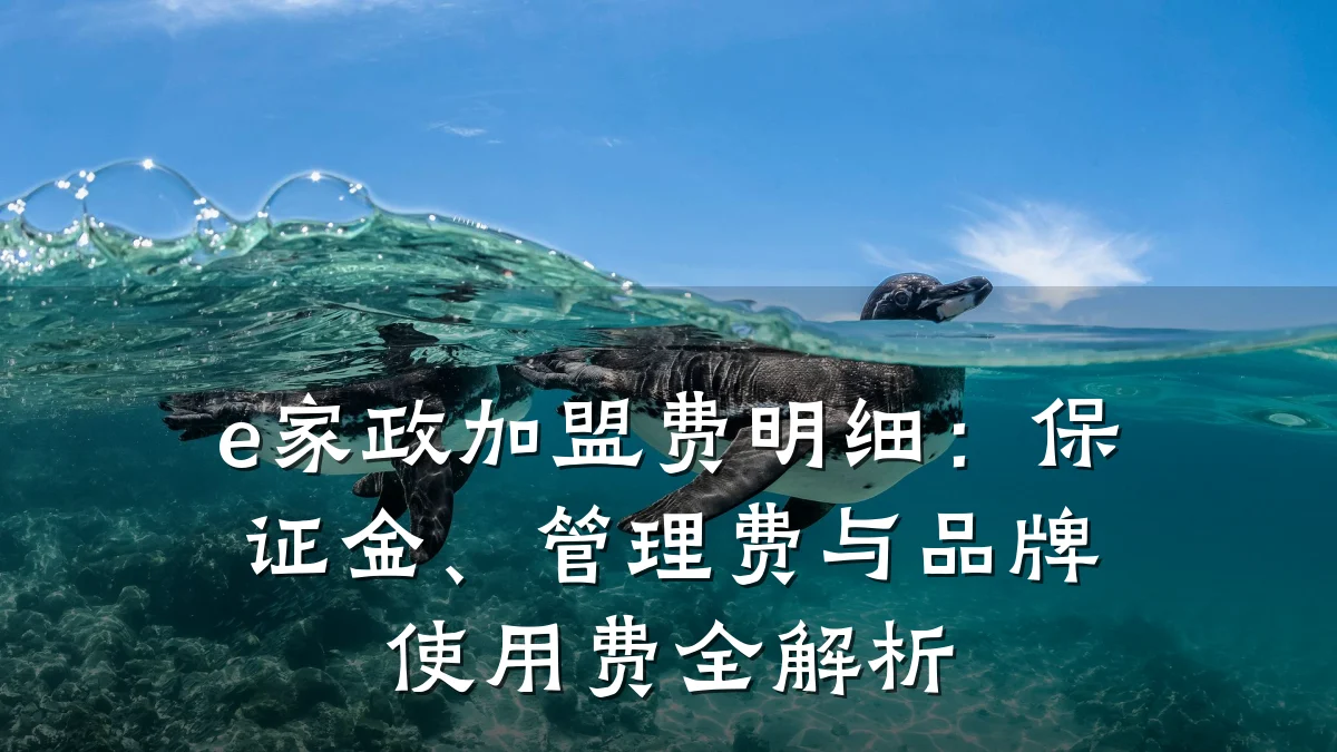 e家政加盟费明细：保证金、管理费与品牌使用费全解析