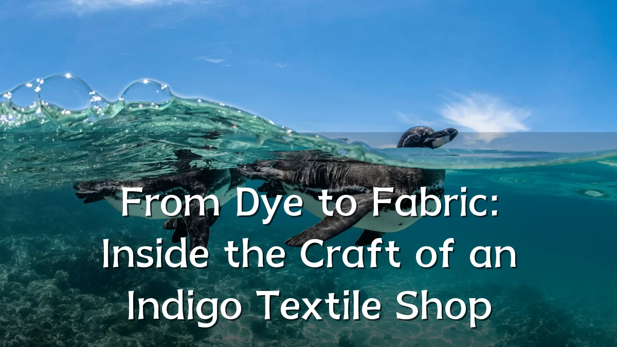 From Dye to Fabric: Inside the Craft of an Indigo Textile Shop