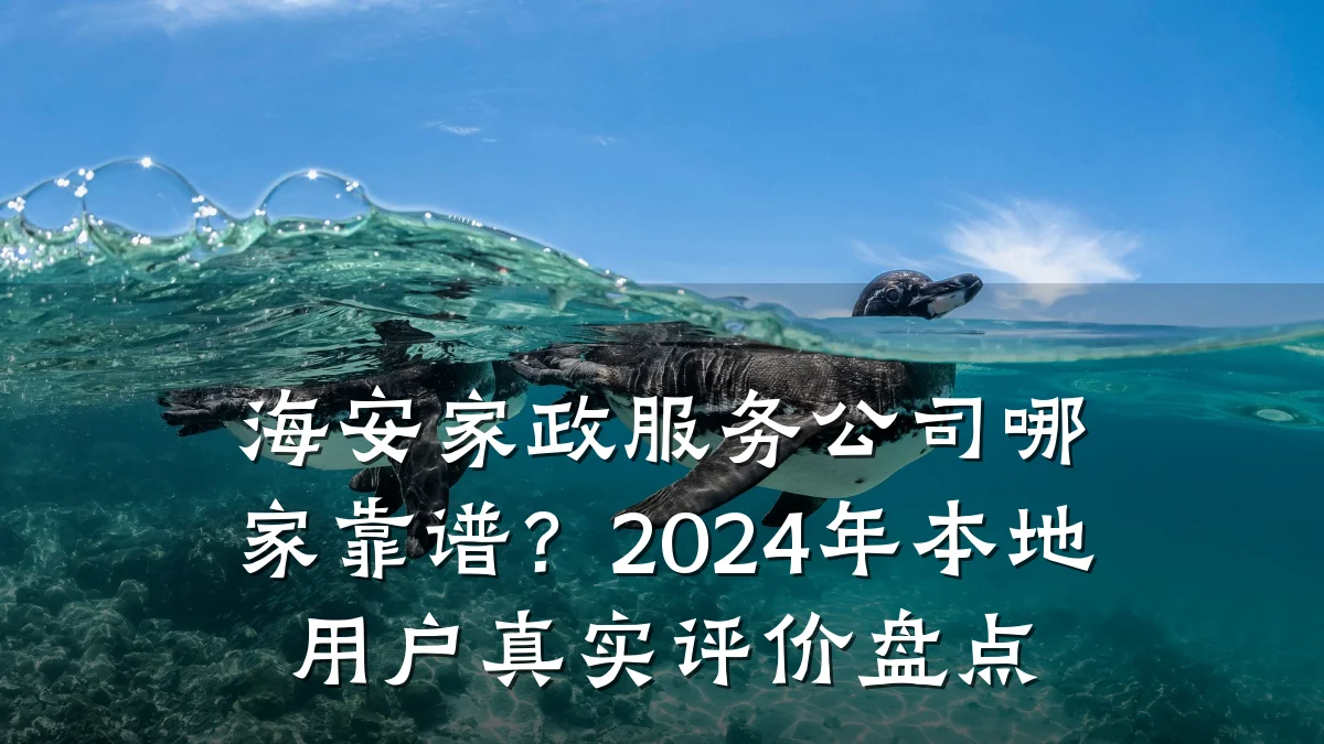 海安家政服务公司哪家靠谱？2024年本地用户真实评价盘点