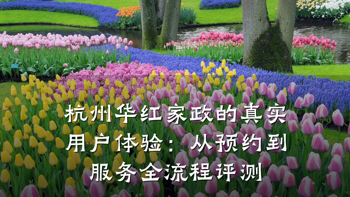 杭州华红家政的真实用户体验:从预约到服务全流程评测