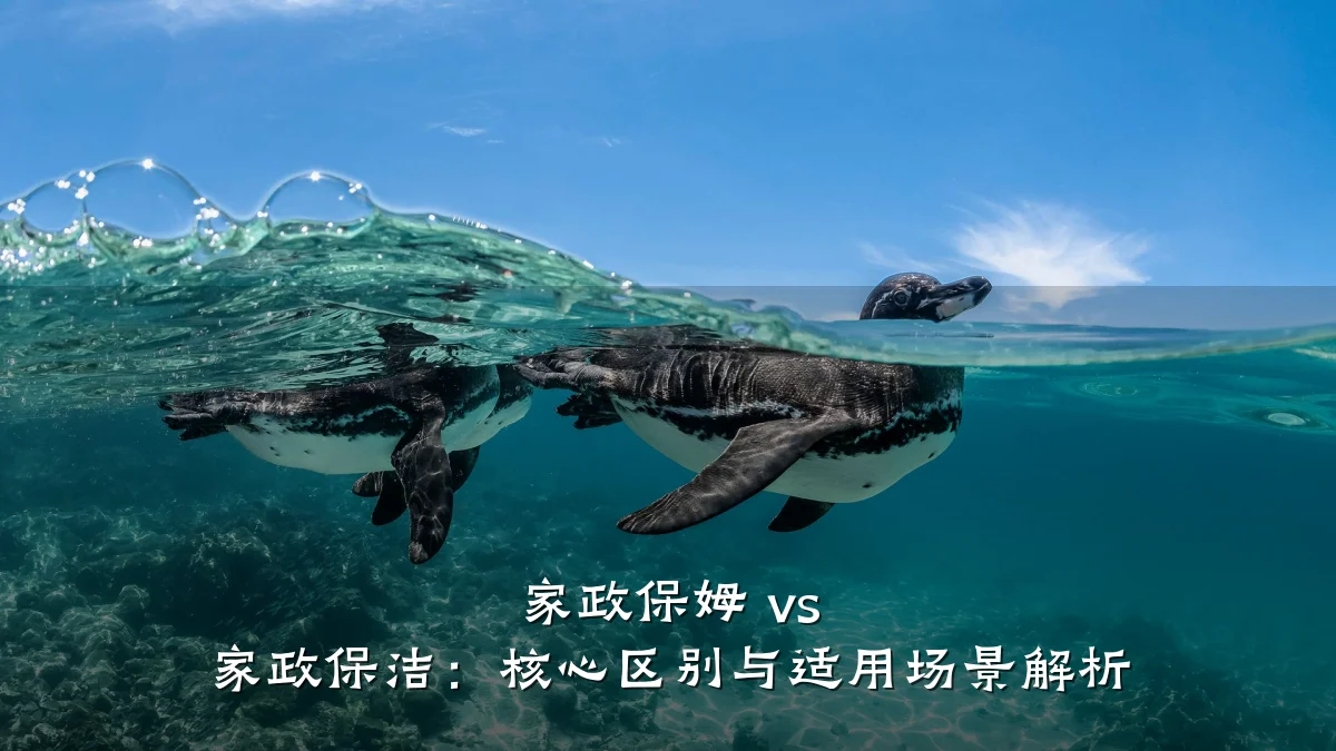 家政保姆 vs 家政保洁：核心区别与适用场景解析