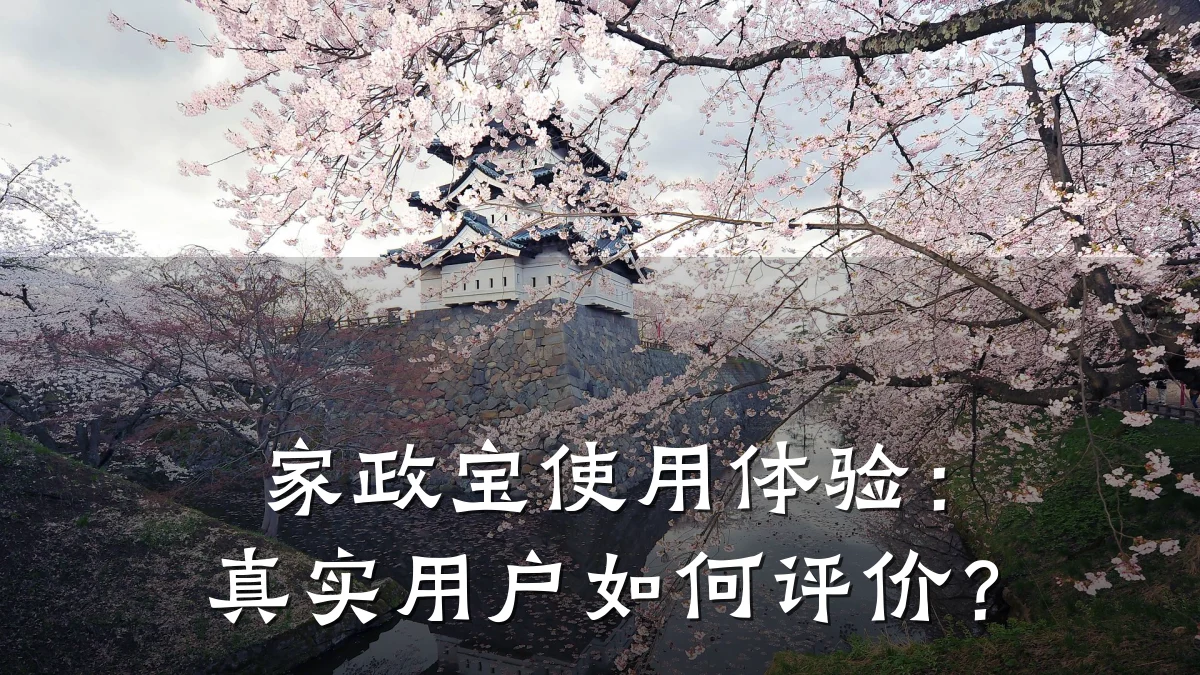 家政宝使用体验:真实用户如何评价?
