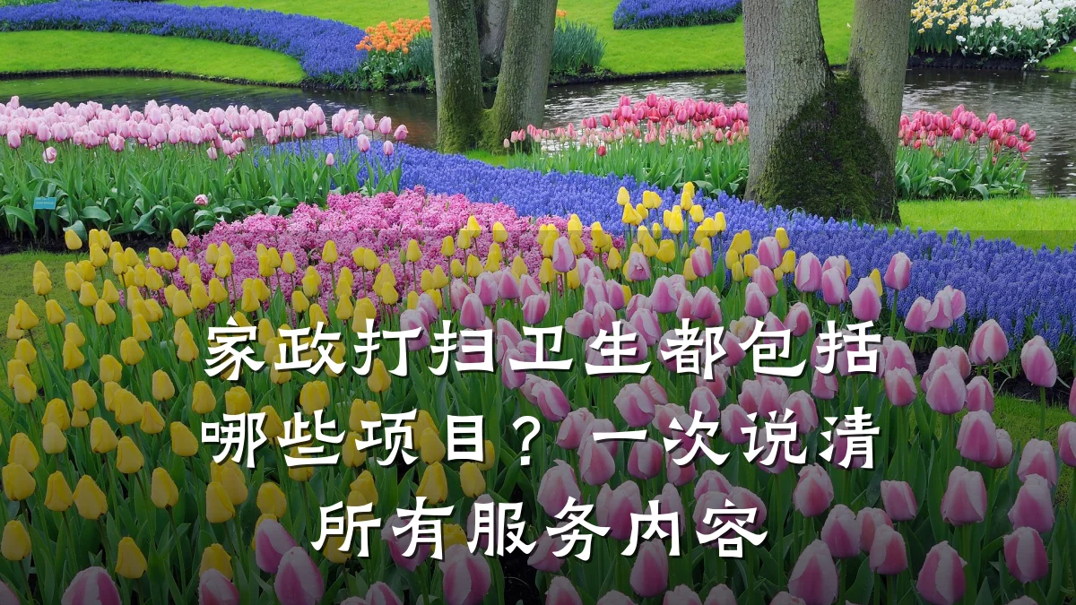 家政打扫卫生都包括哪些项目？一次说清所有服务内容