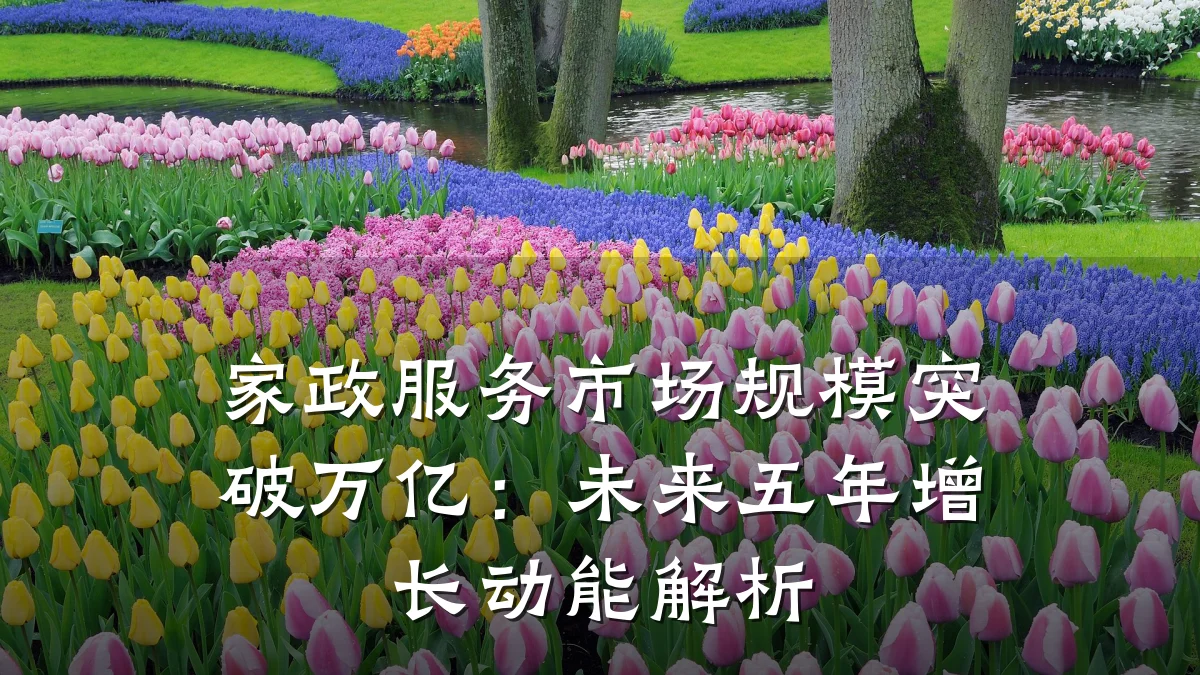 家政服务市场规模突破万亿:未来五年增长动能解析