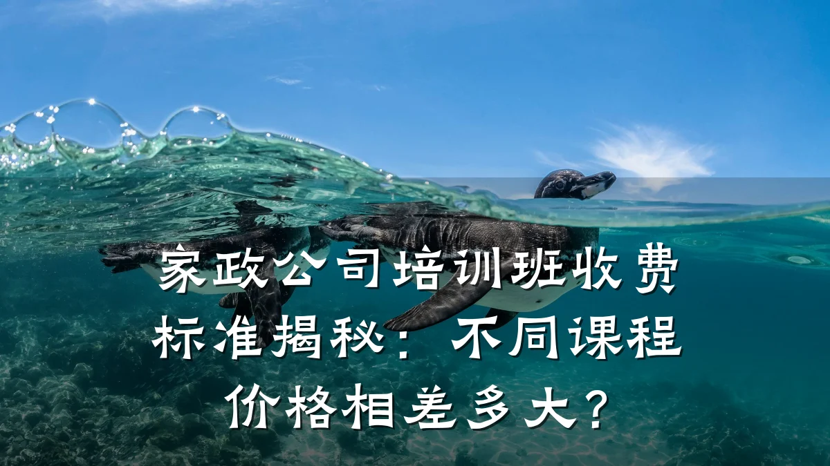 家政公司培训班收费标准揭秘:不同课程价格相差多大?