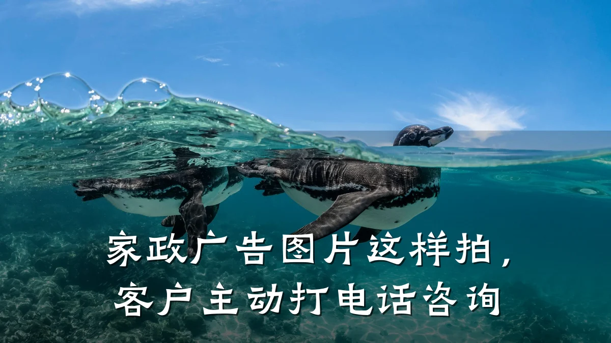 家政广告图片这样拍，客户主动打电话咨询