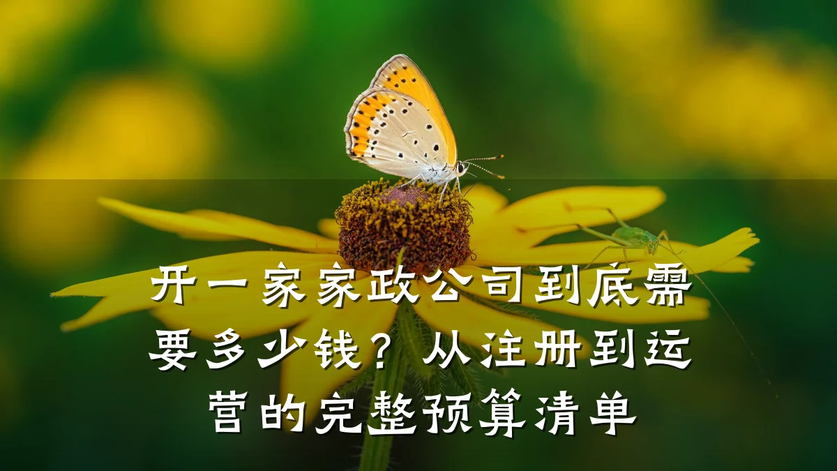 开一家家政公司到底需要多少钱?从注册到运营的完整预算清单