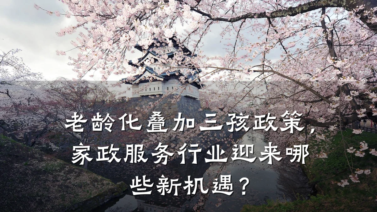 老龄化叠加三孩政策,家政服务行业迎来哪些新机遇?