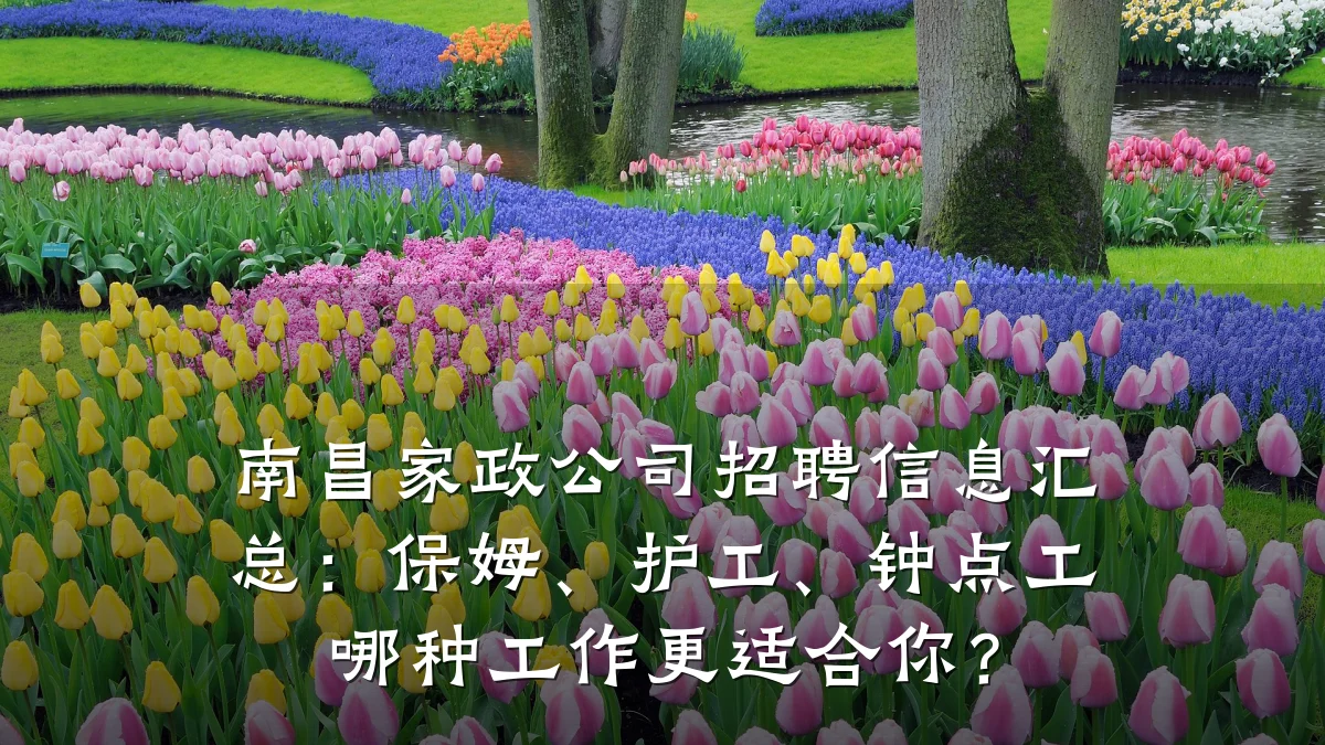 南昌家政公司招聘信息汇总:保姆、护工、钟点工哪种工作更适合你?