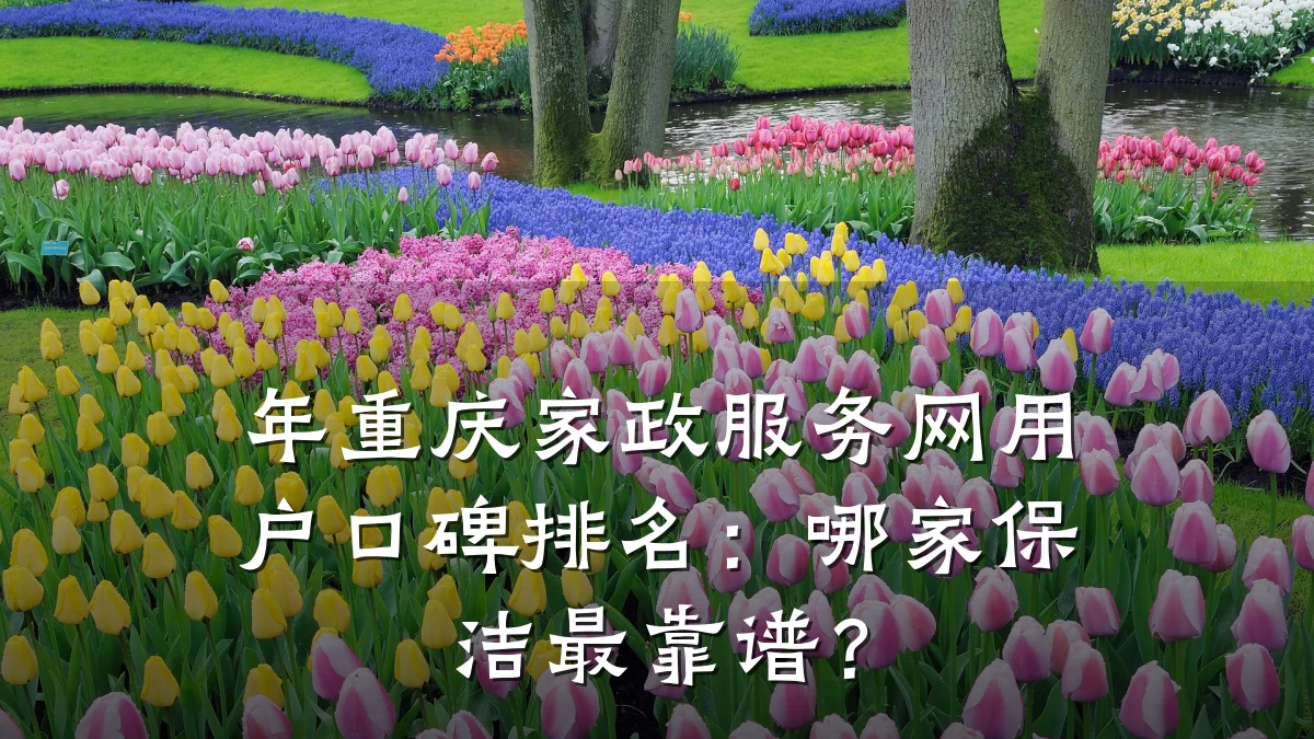 年重庆家政服务网用户口碑排名：哪家保洁最靠谱？