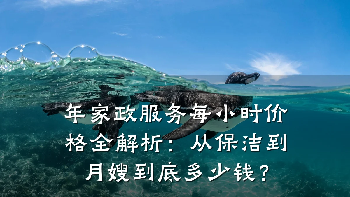 年家政服务每小时价格全解析：从保洁到月嫂到底多少钱？