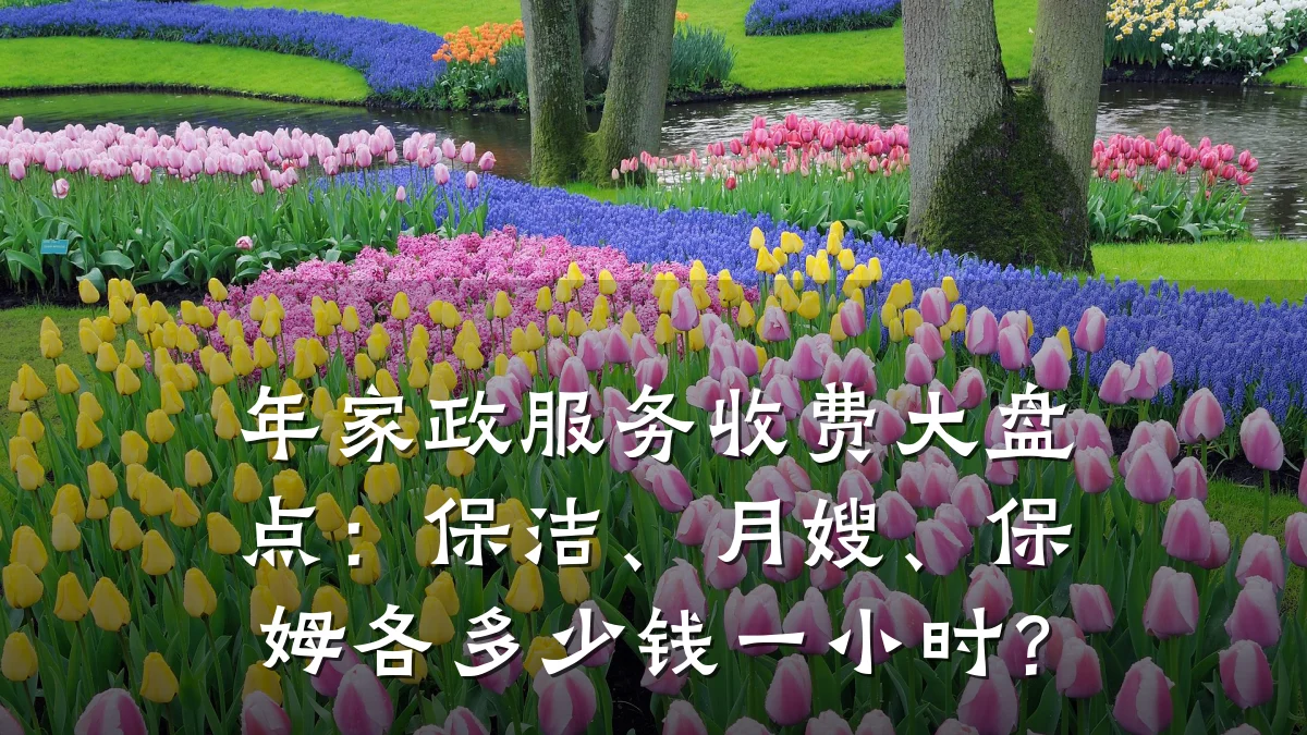 年家政服务收费大盘点:保洁、月嫂、保姆各多少钱一小时?