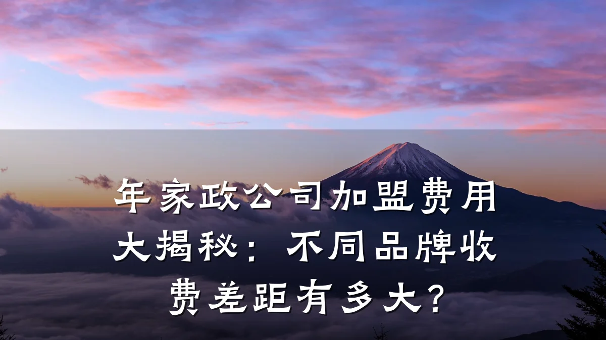 年家政公司加盟费用大揭秘:不同品牌收费差距有多大?