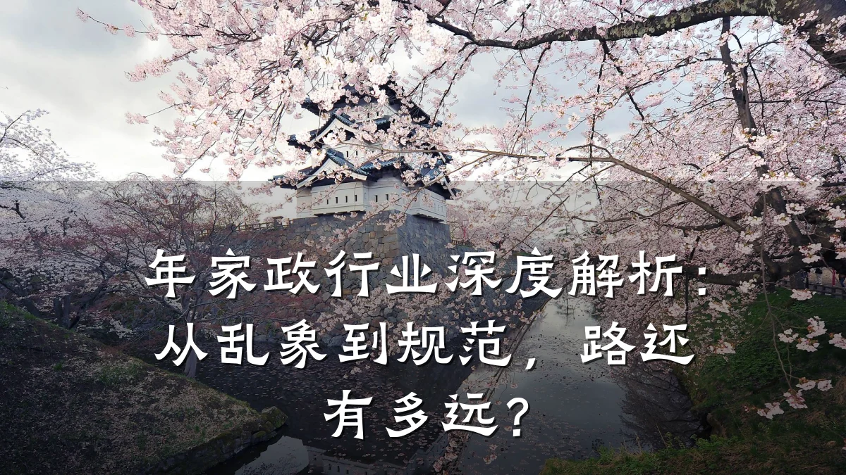 年家政行业深度解析：从乱象到规范，路还有多远？