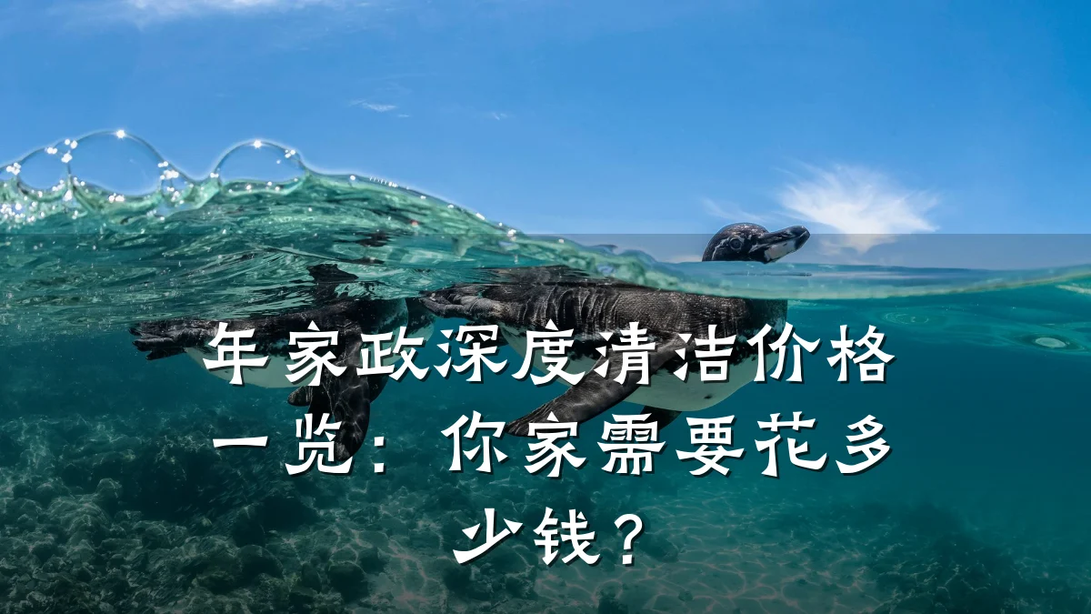 年家政深度清洁价格一览：你家需要花多少钱？