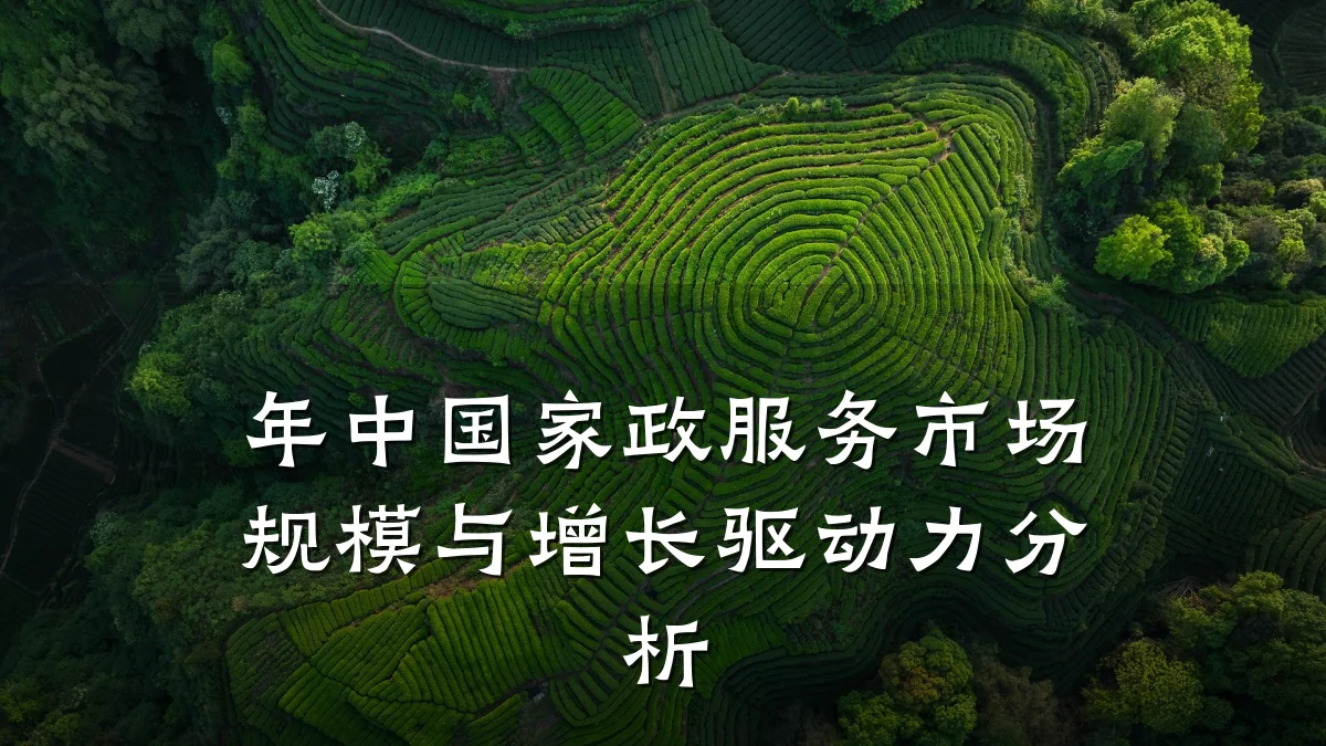 年中国家政服务市场规模与增长驱动力分析