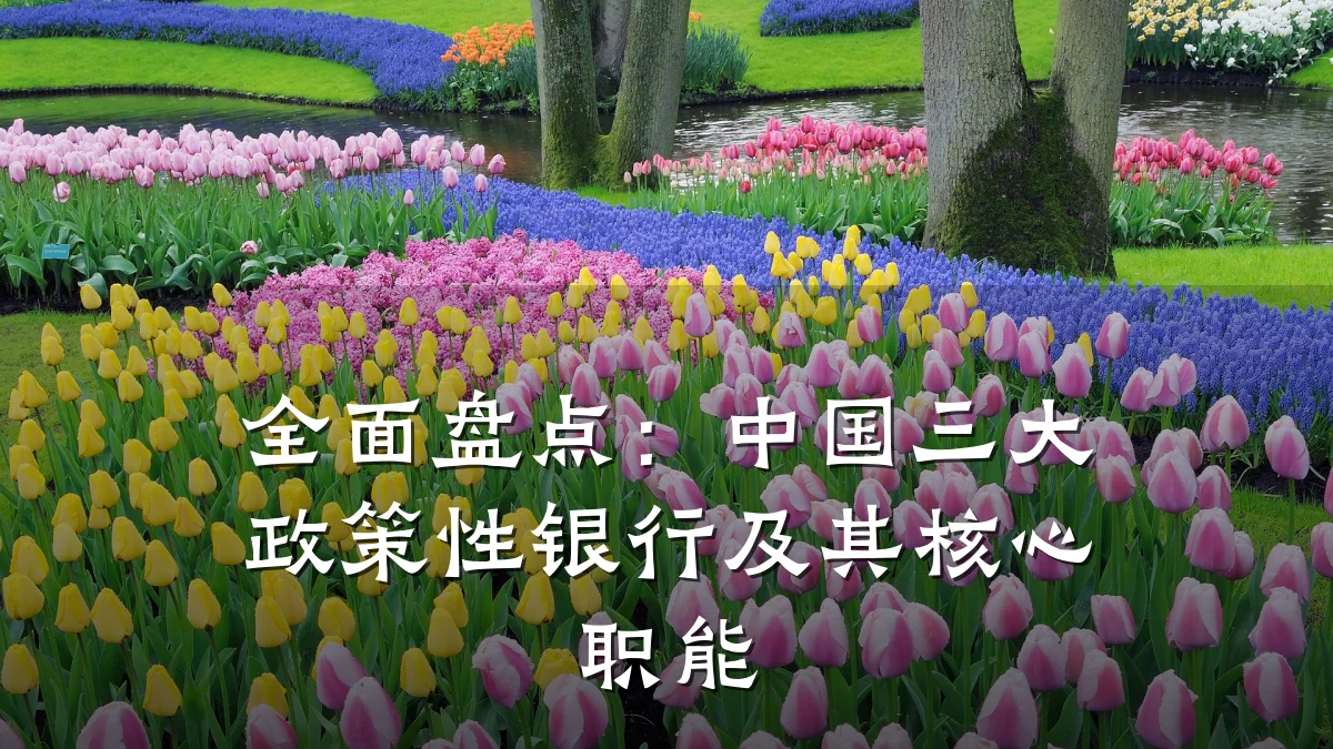 全面盘点：中国三大政策性银行及其核心职能