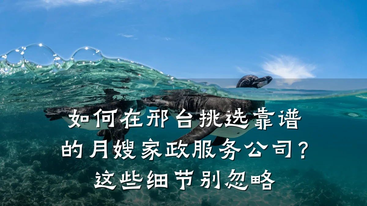 如何在邢台挑选靠谱的月嫂家政服务公司？这些细节别忽略
