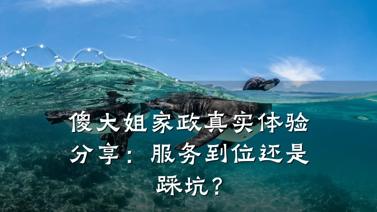 傻大姐家政真实体验分享:服务到位还是踩坑?