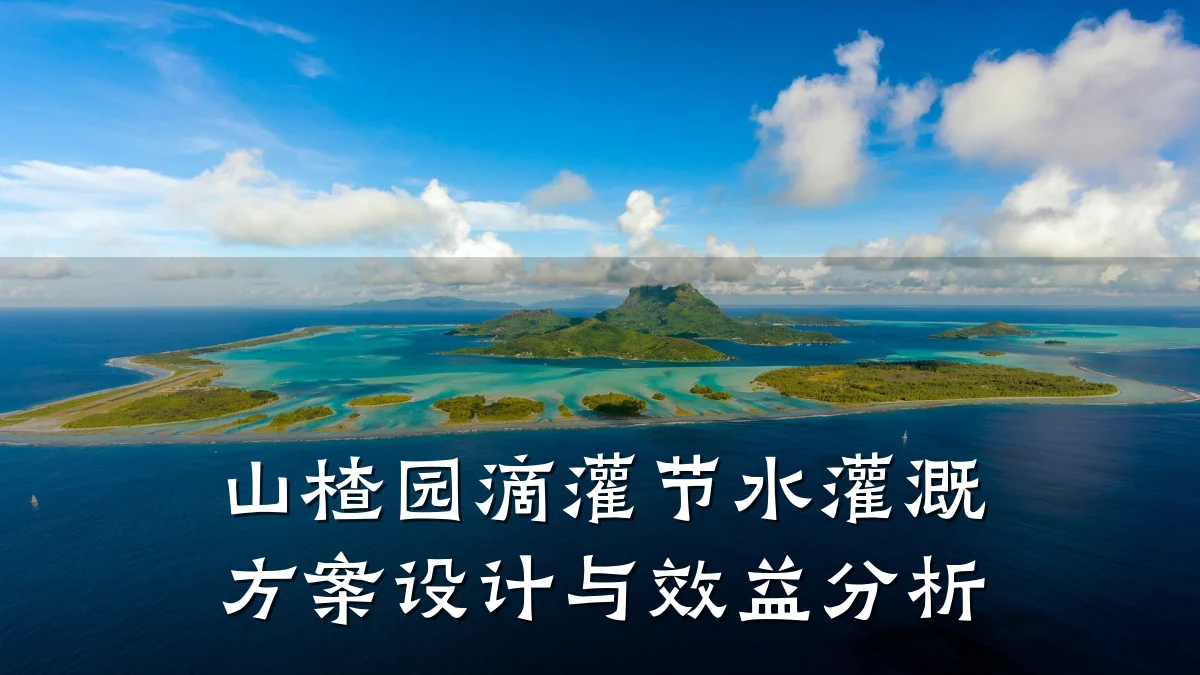 山楂园滴灌节水灌溉方案设计与效益分析
