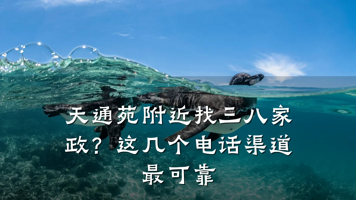 天通苑附近找三八家政？这几个电话渠道最可靠
