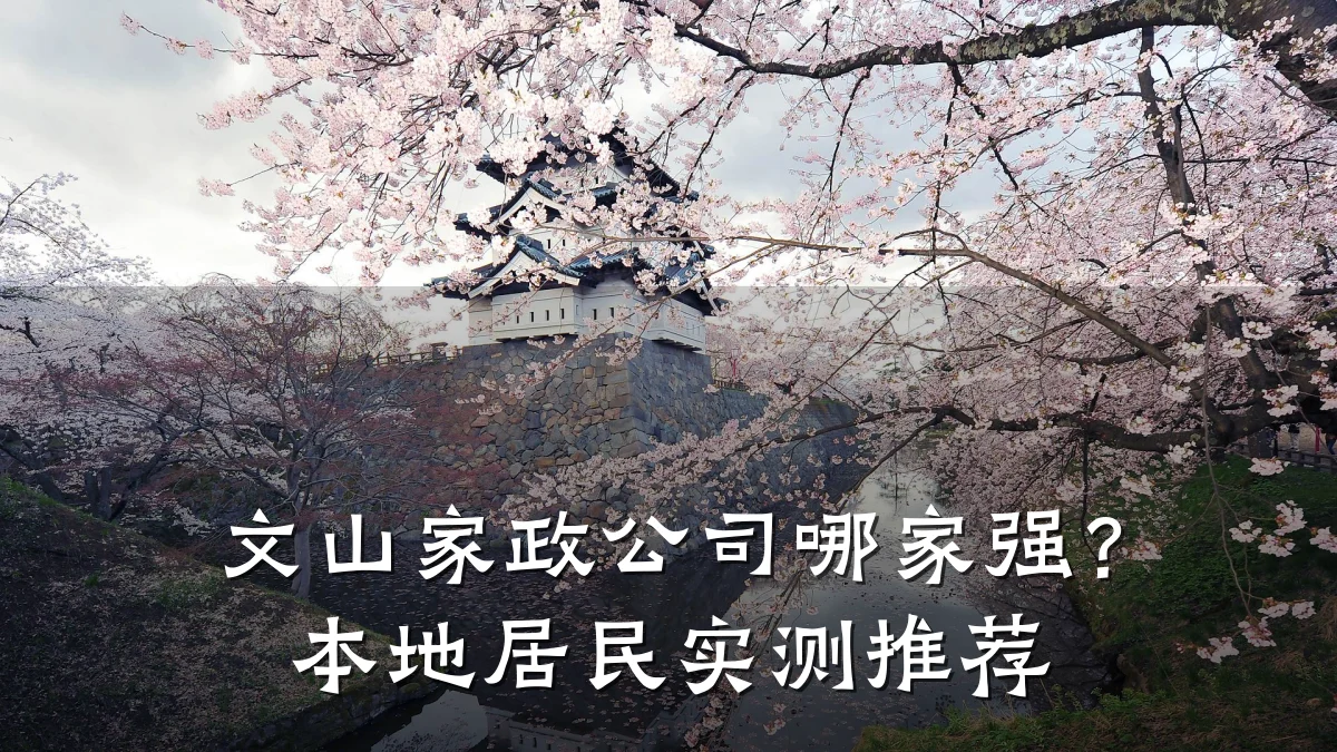 文山家政公司哪家强?本地居民实测推荐