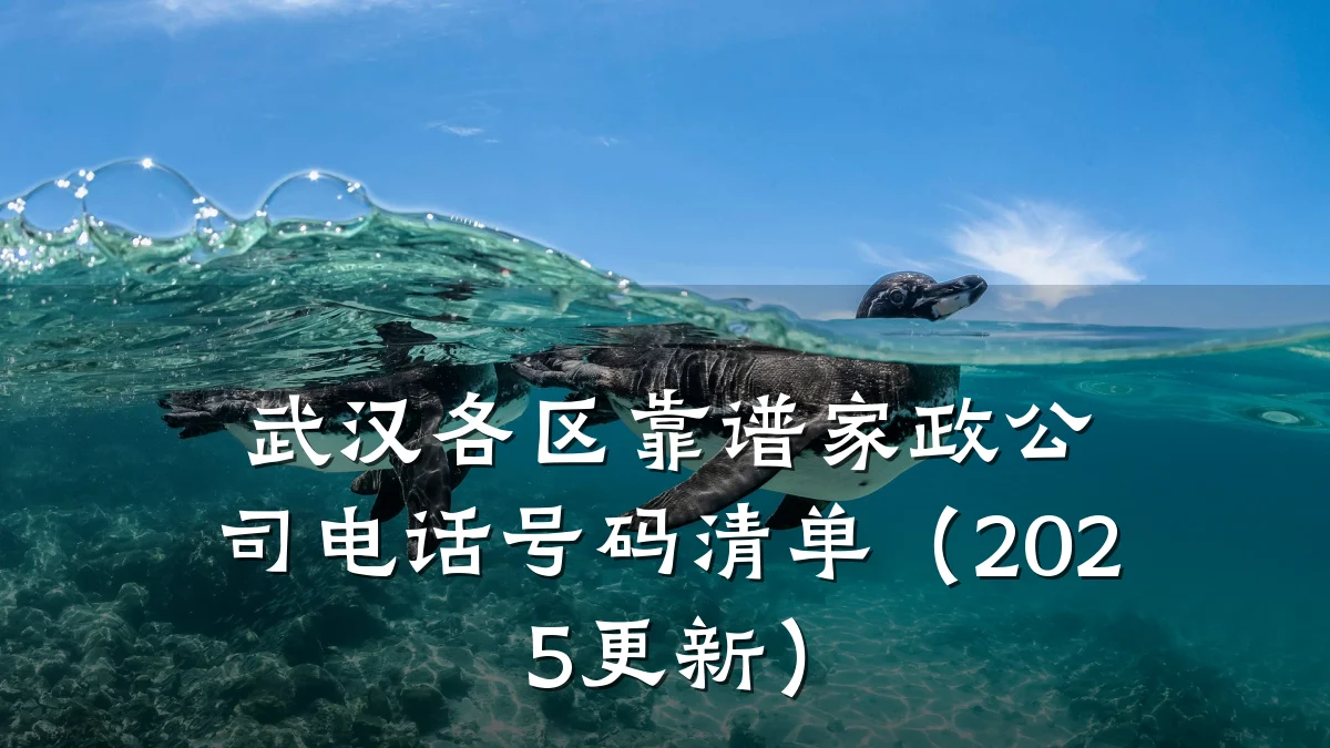 武汉各区靠谱家政公司电话号码清单(2025更新)